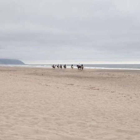 Pelican Villa パシフィック・シティ エクステリア 写真
